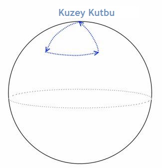  AYI SORUSU KUZEY KUTUP matematikkafe.com