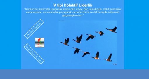 V TİPİ KOLLEKTİF LİDERLİK! matematikkafe.com 