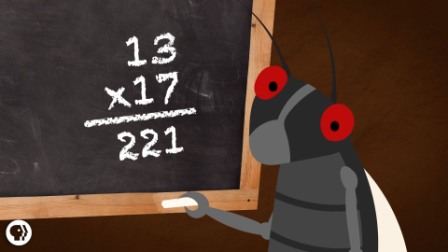 Ağustos-böceği-matematikkafe