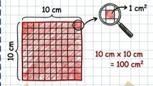 alan-olcu-neden-100
