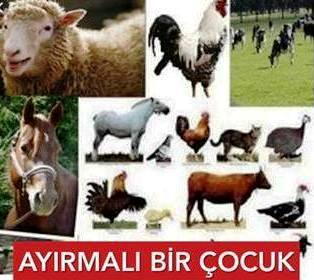 AYIRMALI-Bir-cocuk 