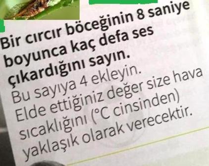 CIRCIR matematikkafe.com CIRCIR matematikkafe.com