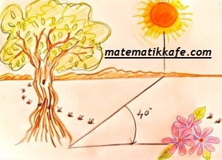 doğadaki arı matematikkafe.com doğadaki arı matematikkafe.com