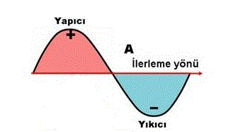 Ekip başarı matematikkafe.com 