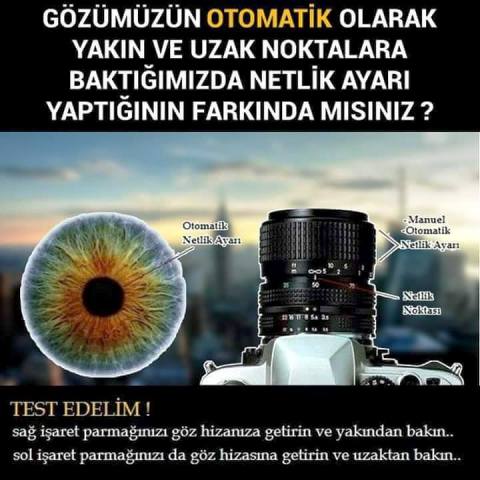 elips günlük matematikkafe.com 