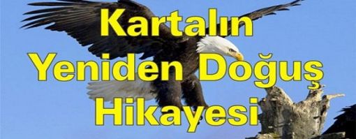 KARTALIN-DOgus-HiKAYESi 