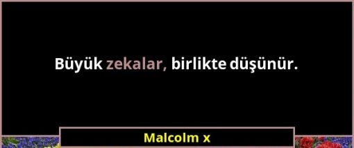 Büyük zekalar, birlikte düşünür. Malcolm X 