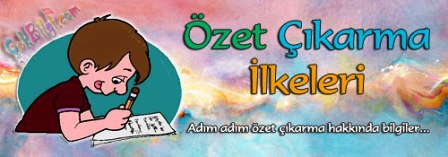 ozet-cikarma-ilkeleri 