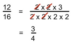 rasyonel sayılar matematikkafe.com  