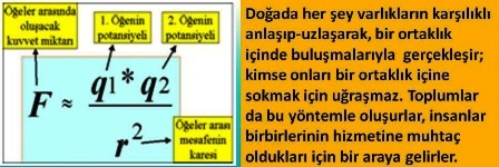  TAKIM matematikkafe.com