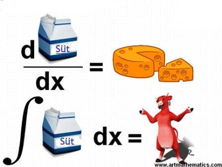 Kalkulus nasıl öğrenilir matematikkafe.com 