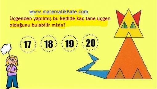 Üçgenden kedi matematikkafe.com 