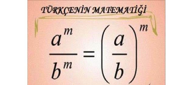 Türkçe, matematik gibi bir dil
